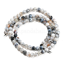 Dyed Natural Fire Crackle Agate Beads Strands&nbsp;G-G007-01F