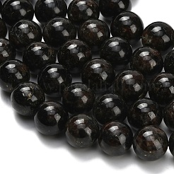 Natural Glaucophane Beads Strands&nbsp;G-L642-B03-12mm
