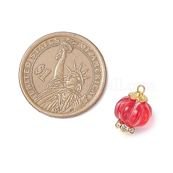6Pcs Glass & Alloy Pendants&nbsp;PALLOY-JF04636