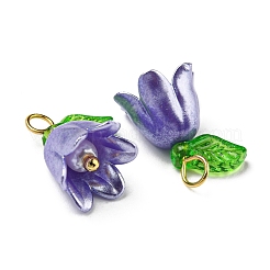 Acrylic Pendants&nbsp;LS-OACR-D012-01B