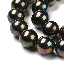 Shell Pearl Bead Strands&nbsp;X-BSHE-L025-05-6mm