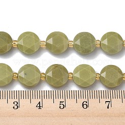 Natural Alashan Agate Beads Strands&nbsp;G-C116-A189-01
