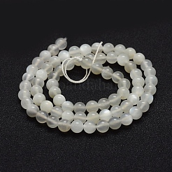 Natural White Moonstone Beads Strands&nbsp;G-P335-04-6mm