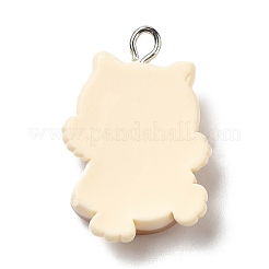 Opaque Resin Pendants&nbsp;RESI-C037-02B