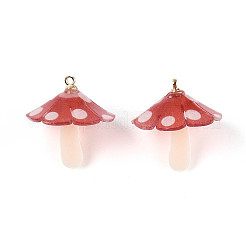 Plastic Pendants&nbsp;KY-N015-118C-01