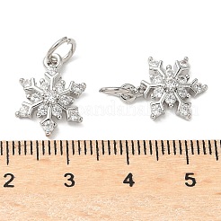 Brass Micro Pave Cubic Zirconia Pendants with Jumping Ring&nbsp;LS-KK-A254-24P