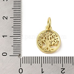 Brass Micro Pave Clear Cubic Zirconia Pendants&nbsp;KK-R162-002G