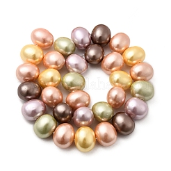 Shell Pearl Beads Strands&nbsp;BSHE-F013-01N