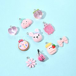10Pcs 10 Styles Resin Pendants Sets&nbsp;RESI-FS0002-23