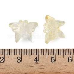 Glass Beads&nbsp;GLAA-C039-01H