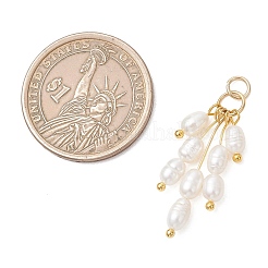 Natural Cultured Freshwater Pearl Pendants&nbsp;PALLOY-JF05104
