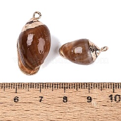 Electroplate Natural Spiral Shell Pendants&nbsp;SSHEL-Q100-45G