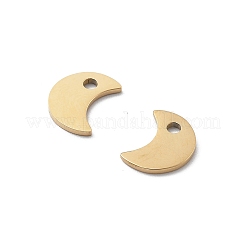 304 Stainless Steel Charms&nbsp;STAS-M111-06G