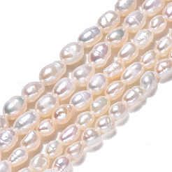 Natural Cultured Freshwater Pearl Beads Strands&nbsp;PEAR-N012-03D
