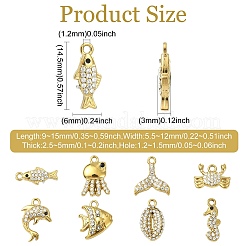 8Pcs 8 Styles Ocean Theme 304 Stainless Steel Charms&nbsp;STAS-CJ0003-52