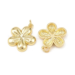 Brass Pendants&nbsp;KK-L251-28G