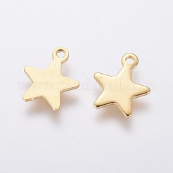 304 Stainless Steel Charms&nbsp;X-STAS-L234-069G