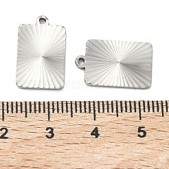304 Stainless Steel Pendants&nbsp;STAS-C167-08E-P