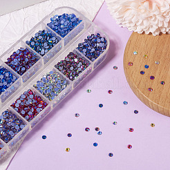 48G 12 Colors Glass Hotfix Rhinestone&nbsp;DIY-TA0004-53