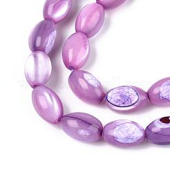 Natural Trochus Shell Beads Strands&nbsp;SHEL-K006-19-01D