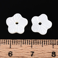Natural Freshwater Shell Beads&nbsp;BSHE-T014-15