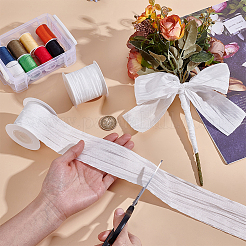 Polyester Wrinkle Ribbons&nbsp;OCOR-WH0078-501B