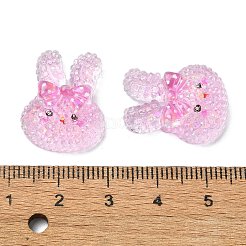 Transparent Epoxy Resin Decoden Cabochons&nbsp;CRES-I030-02B