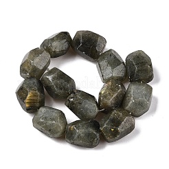 Natural Labradorite Beads Strands&nbsp;G-N342-146