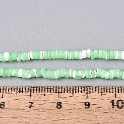Natural Trochid Shell/Trochus Shell Beads Strands&nbsp;SSHEL-N040-21C