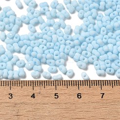 Glass Frosted Seed Beads&nbsp;SEED-K009-05B-09