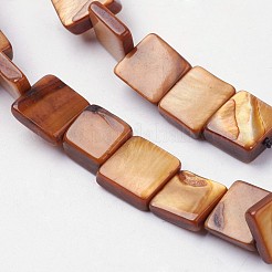 Natural Freshwater Shell Beads Strands&nbsp;BSHE-L036-26