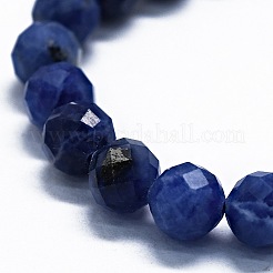 Natural Sodalite Beads Strands&nbsp;G-G927-42