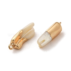 Natural Trochus Shell Pendants&nbsp;SSHEL-H071-04KCG