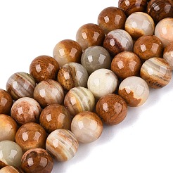 Natural Wood Lace Stone Wooden Jasper Beads Strands&nbsp;G-B128-A04-05
