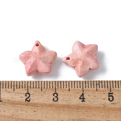 Natural Rainbow Alashan Agate Charms&nbsp;G-G194-02D