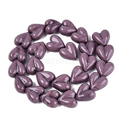 Handmade Lampwork Beads Strands&nbsp;LAMP-Q041-05D