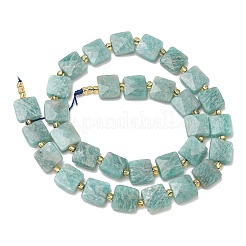 Natural Amazonite Beads Strands&nbsp;G-L642-L04-10mm