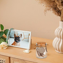 2Pcs 2 Styles Transparent Glass Empty Bottles with Alloy Feather Charms&nbsp;AJEW-DR00028