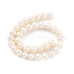 Natural Cultured Freshwater Pearl Beads Strands&nbsp;PEAR-C003-13F