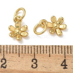 Rack Plating Brass Pendants&nbsp;KK-K392-51G