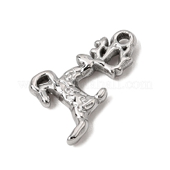 304 Stainless Steel Pendants&nbsp;SA-CBA9B1E-16P