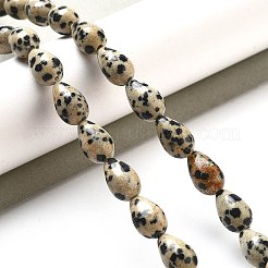 Natural Dalmatian Jasper Beads Strands&nbsp;G-B106-A29-02