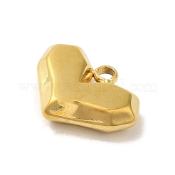 Ion Plating(IP) 304 Stainless Steel Charms&nbsp;STAS-S131-06G