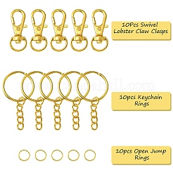 10Pcs Alloy Swivel Lobster Claw Clasps&nbsp;IFIN-YW0003-41