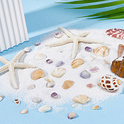 5 Styles Shell Beads&nbsp;SHEL-FH0001-22