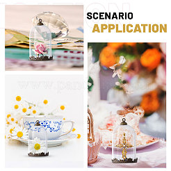 DIY Pendant Kits&nbsp;DIY-CA0006-66B