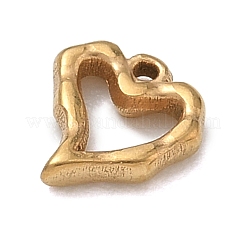 304 Stainless Steel Charms&nbsp;SA-B007-02G-D