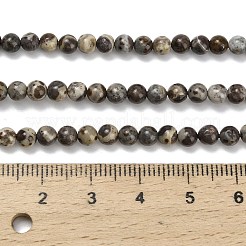 Natural Astroite Jasper Beads Strands&nbsp;G-F814-A01-4mm