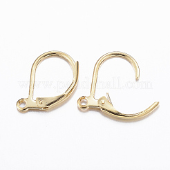304 Stainless Steel Leverback Earring Findings&nbsp;STAS-E147-53G