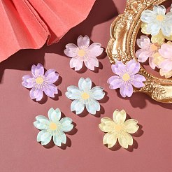 20Pcs 5 Colors Translucent Resin Cabochons&nbsp;OHAR-YW0001-01